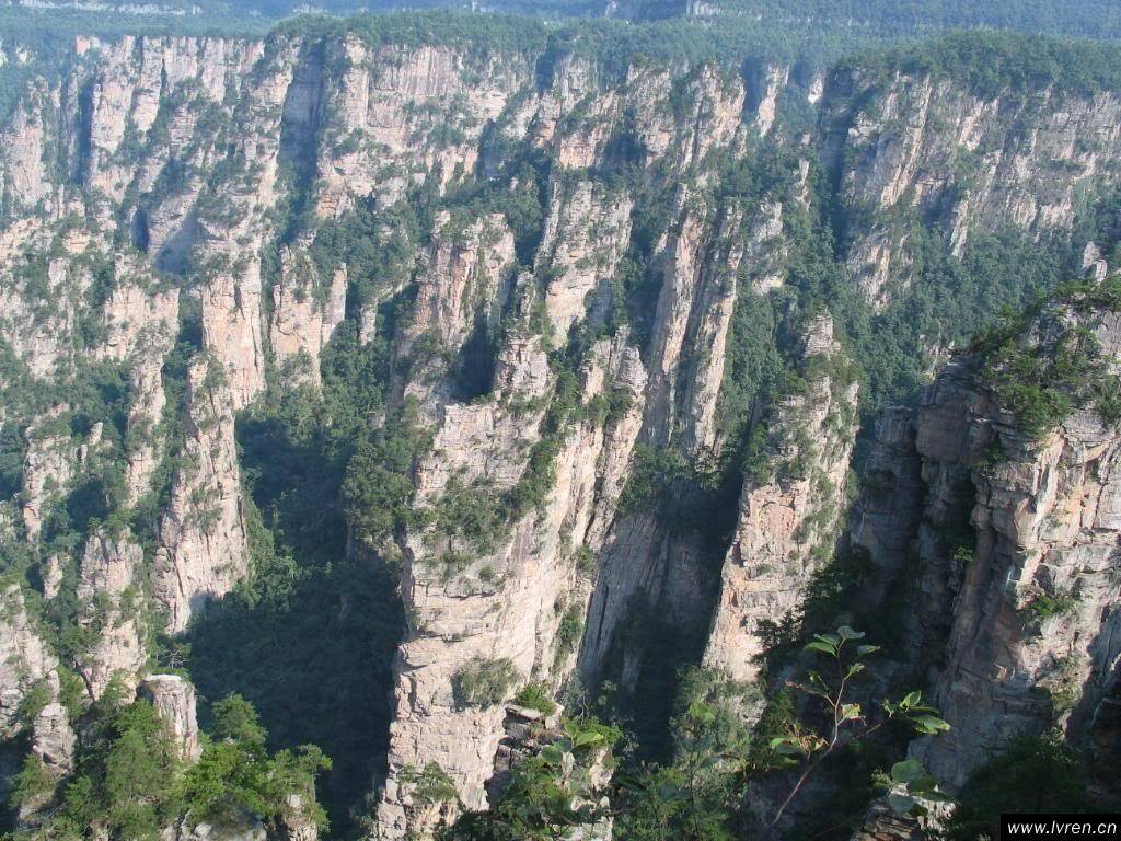 20071119165637834.jpg
