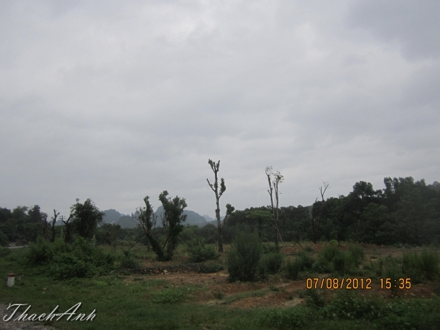 IMG_8638.jpg