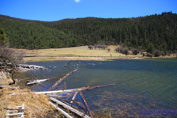 shangri-la255.jpg