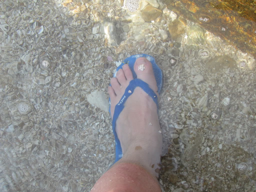 IMG_1960.jpg