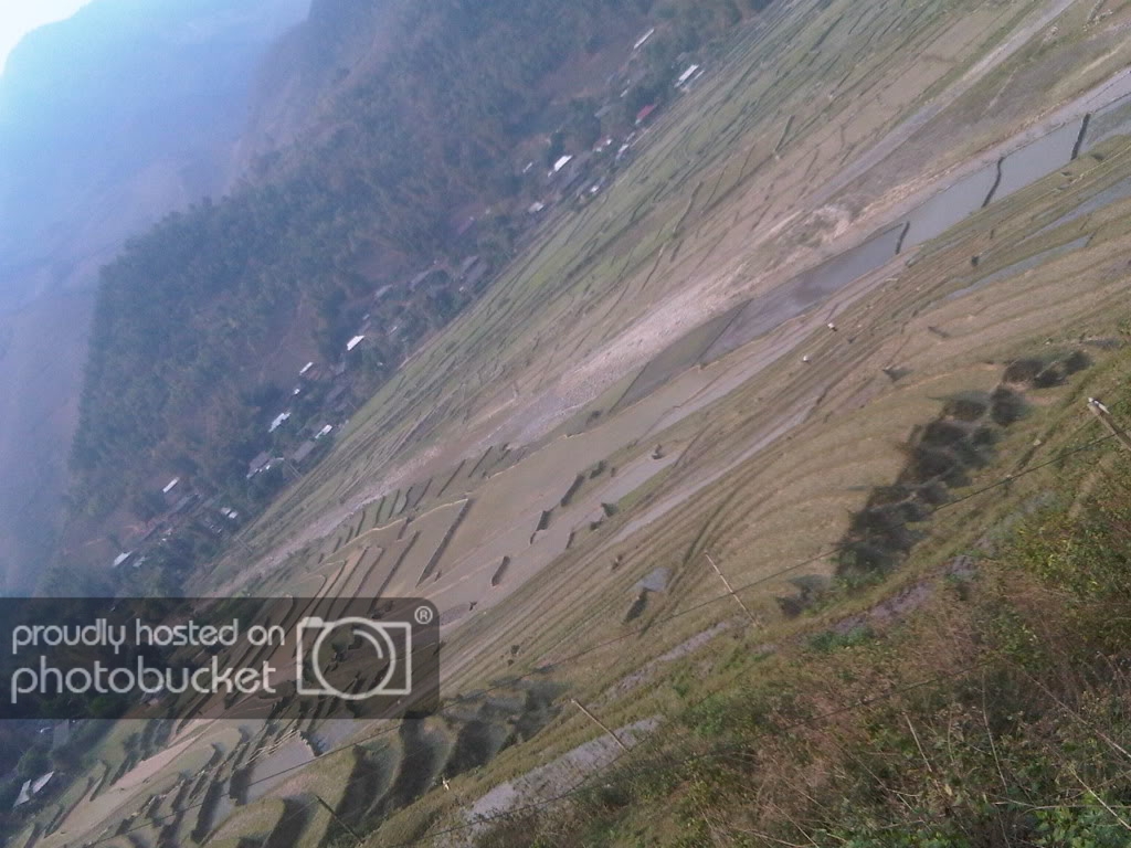 IMG00405-20120303-1519.jpg