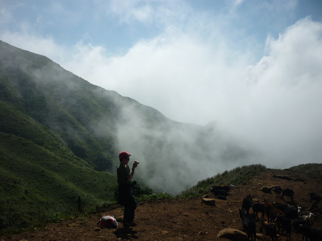 P1050326_zps921faae0.jpg
