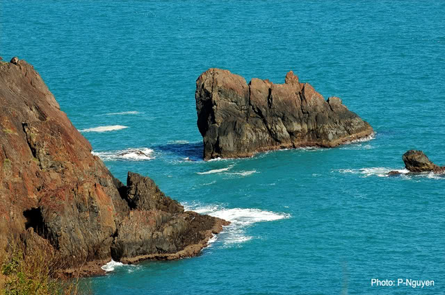 169.jpg