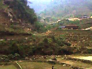 IMG0113A.jpg