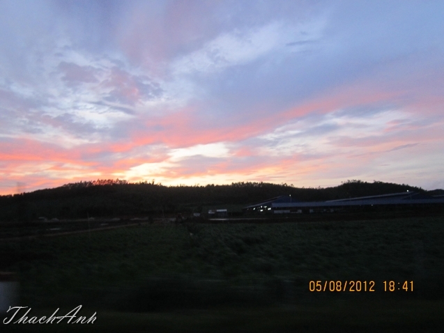 IMG_8359.jpg