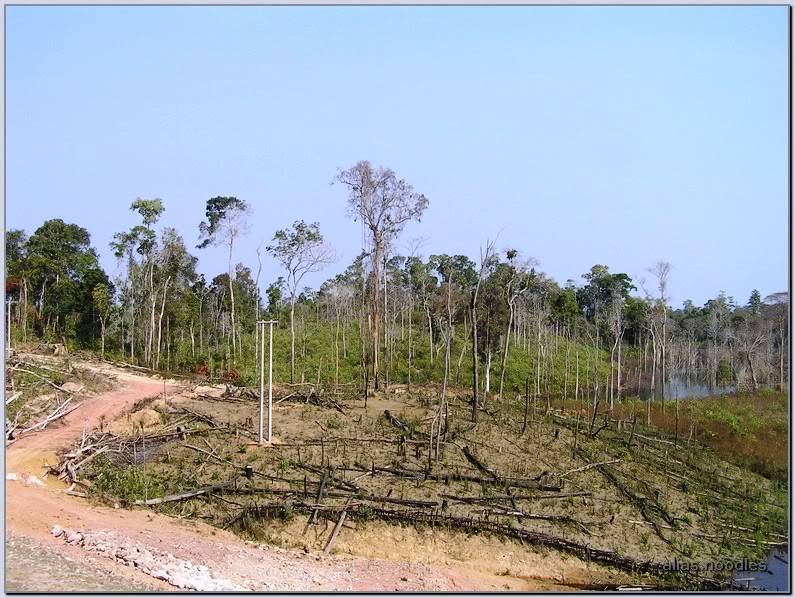 Lao_2009_0101.jpg