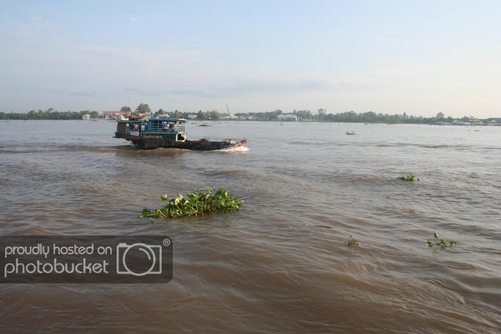 IMG_3456_zps4f596ffe.jpg