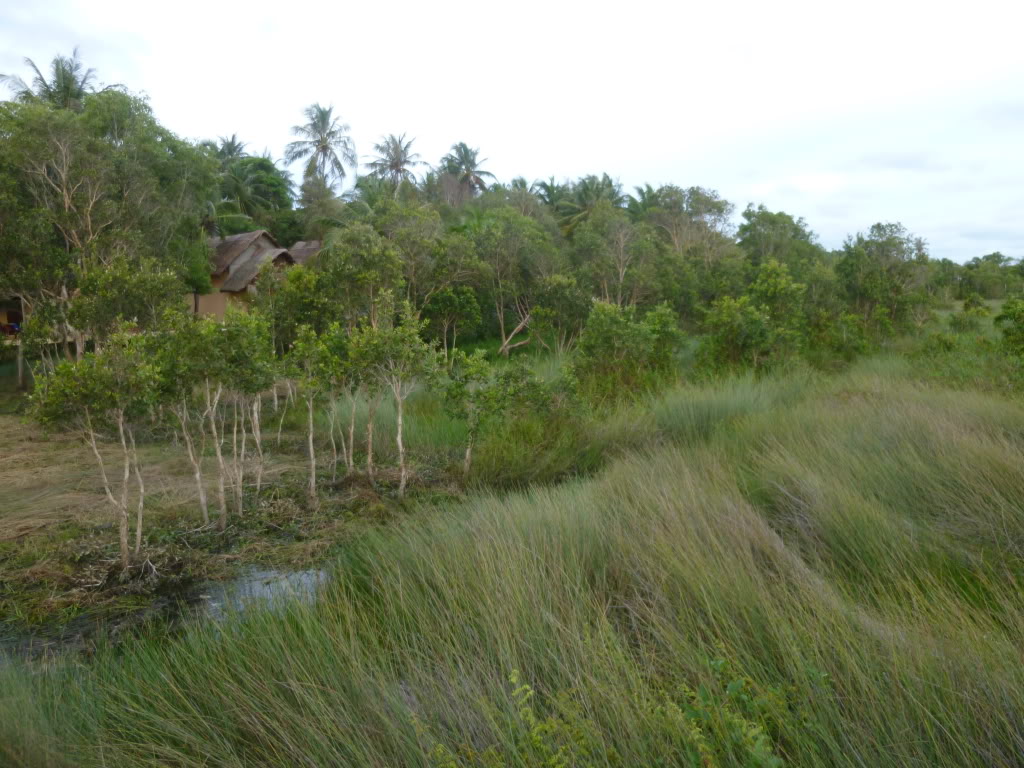 P1080457.jpg