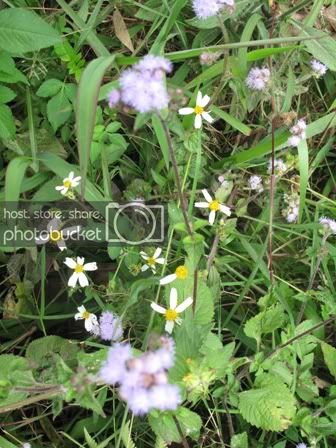 IMG_5808.jpg