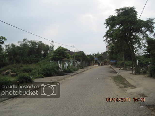 IMG_7133.jpg