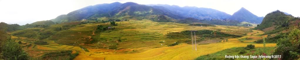ruongbacthangsapa.jpg