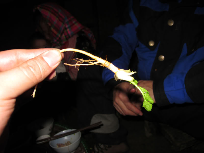 HongNgai2011666.jpg