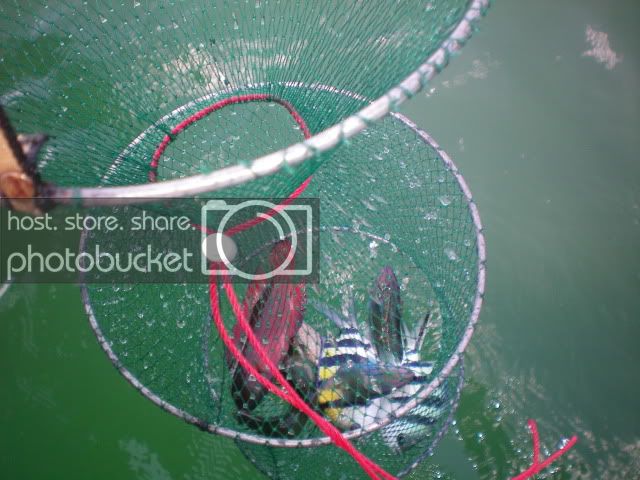 100_0160.jpg