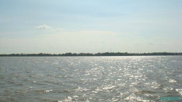 DSC08807.jpg