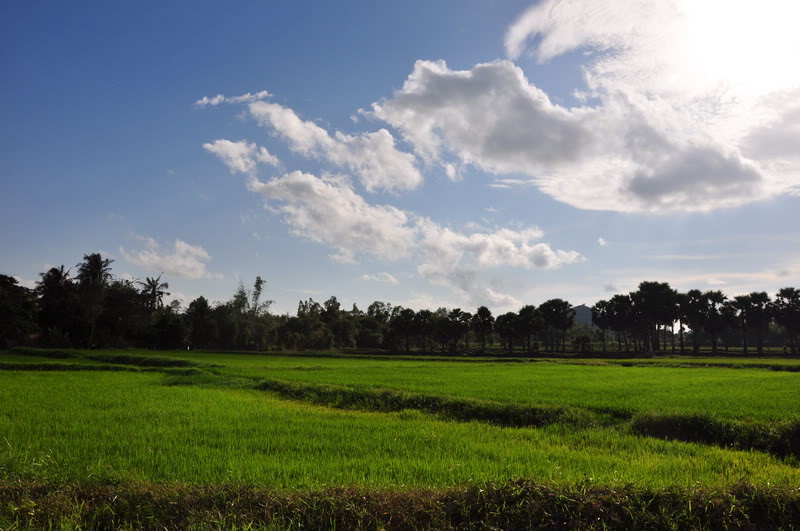 DSC_3951_resize.jpg
