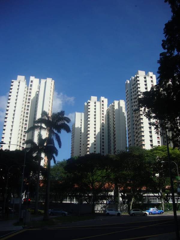 DSC03151_resize.jpg