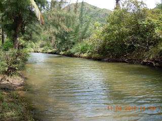 DSCN5353.JPG
