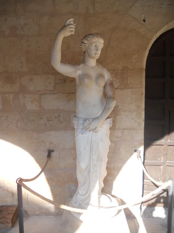 DSCN6544.jpg