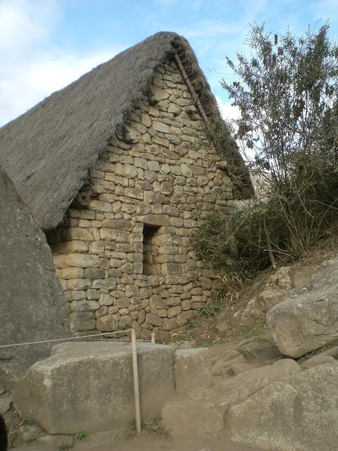 CIMG6138-1.jpg