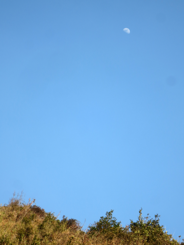 IMG_2949_zps8abf67f1.png