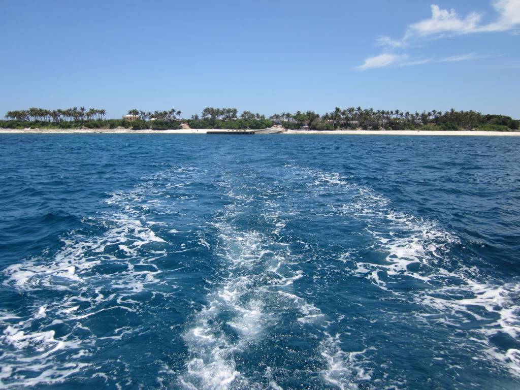IMG_0381.jpg