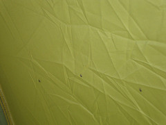 5909451784_9c4b861b18_m.jpg