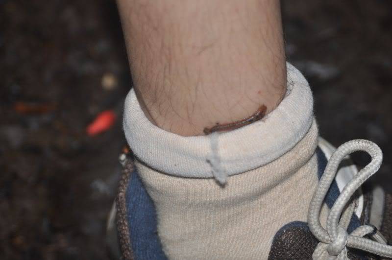 DSC_4037.jpg