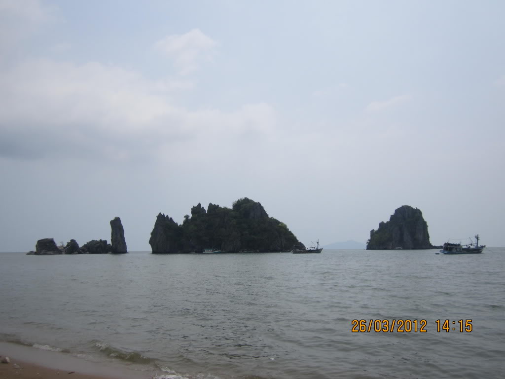 IMG_4176.jpg