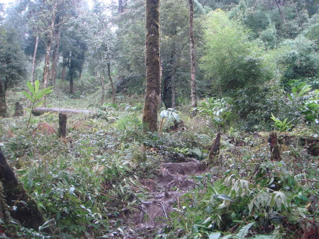 DSC05944.jpg