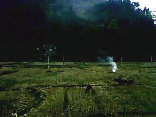 IMG0038A.jpg