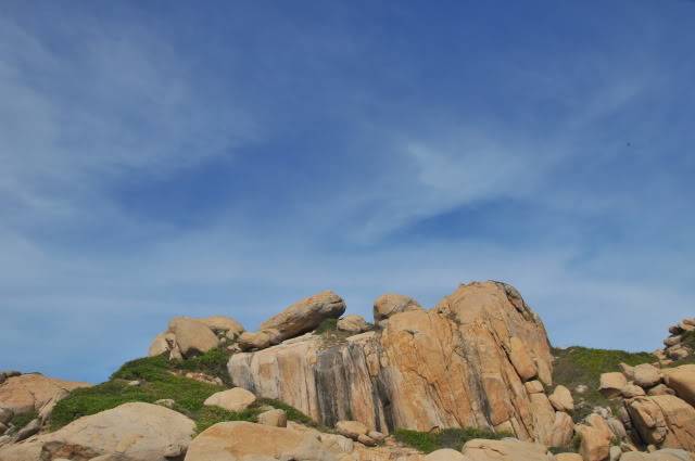 DSC_1944.jpg