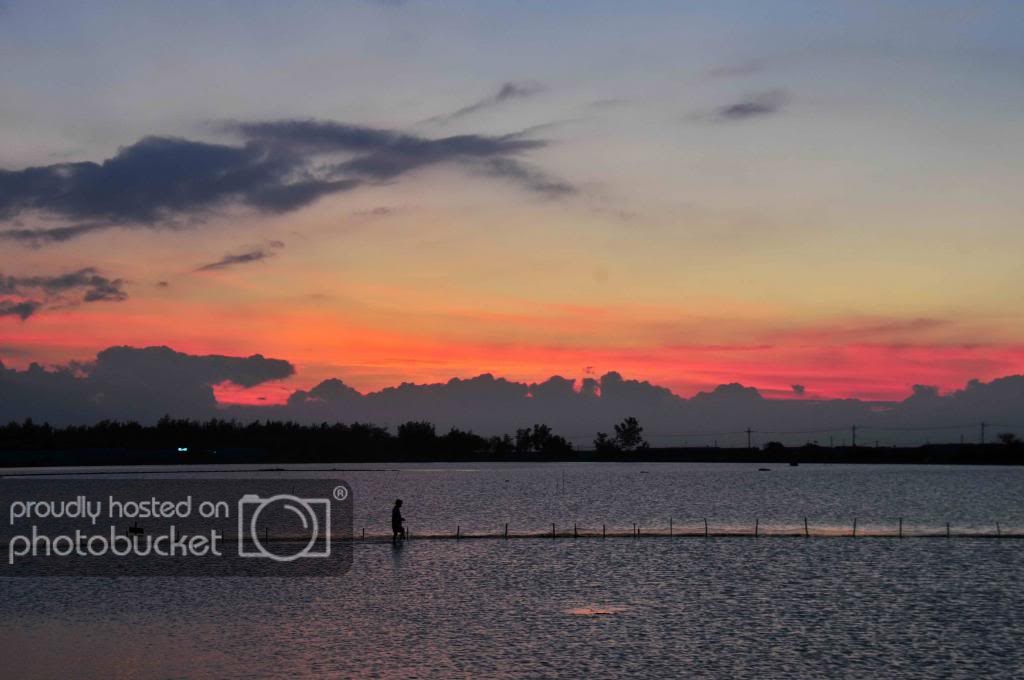 DSC_3013_zps4f69ac7f.jpg