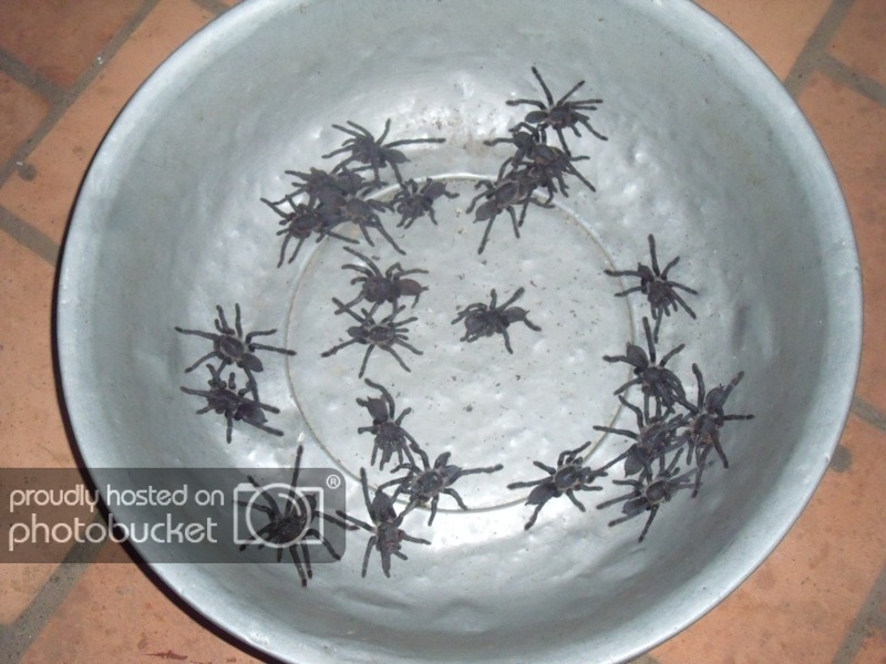 DSCF5873.jpg