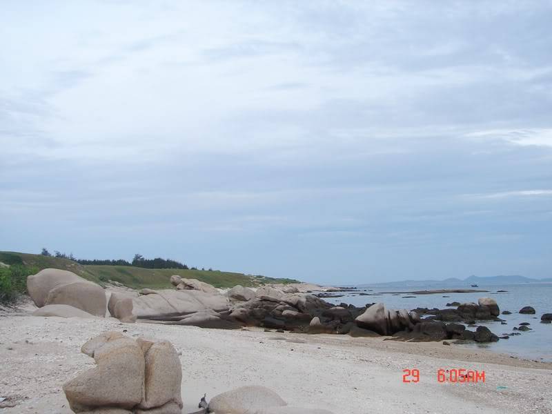 DSC00833.jpg
