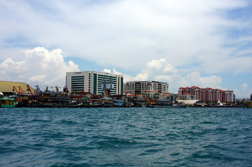 IMG_5590.jpg