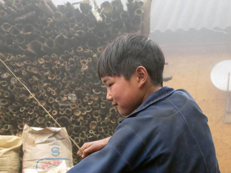HongNgai2011287.jpg