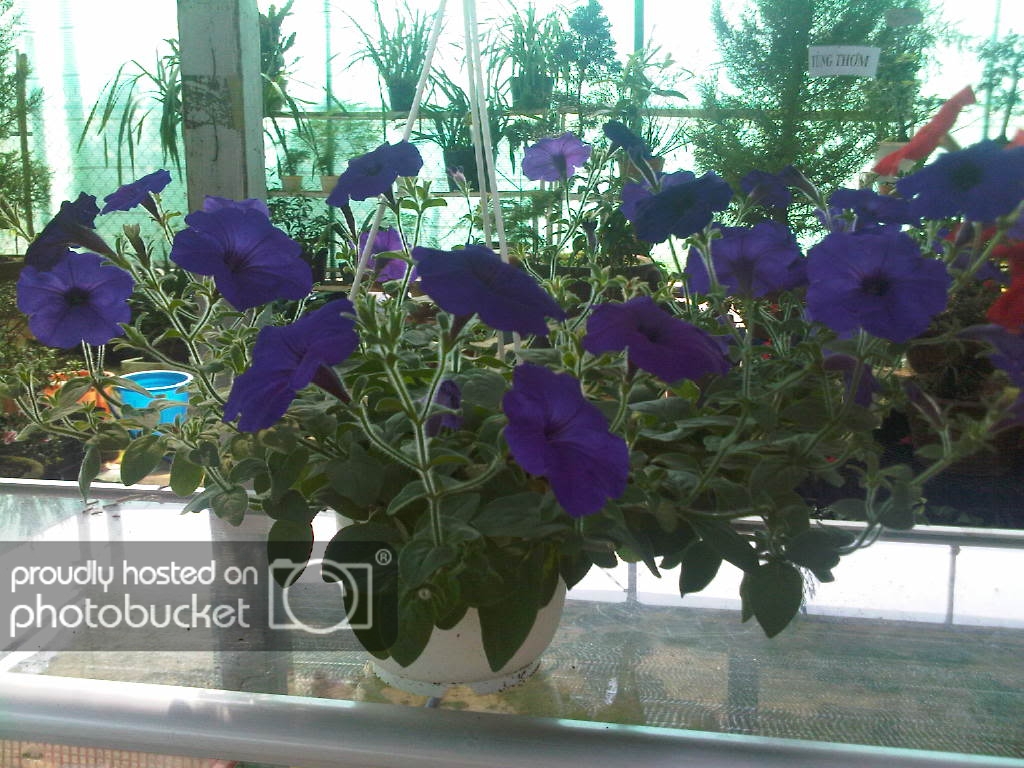 IMG-20111122-00165.jpg