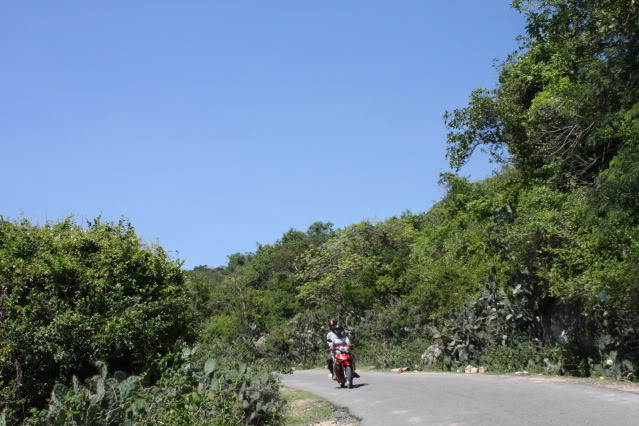 IMG_3625-1.jpg