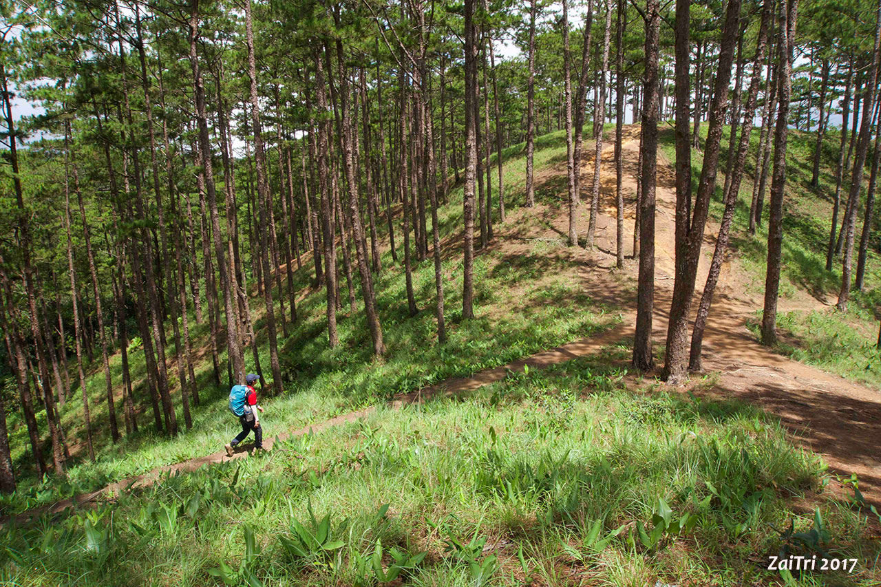 trekking-rung-Ta-Nang.jpg