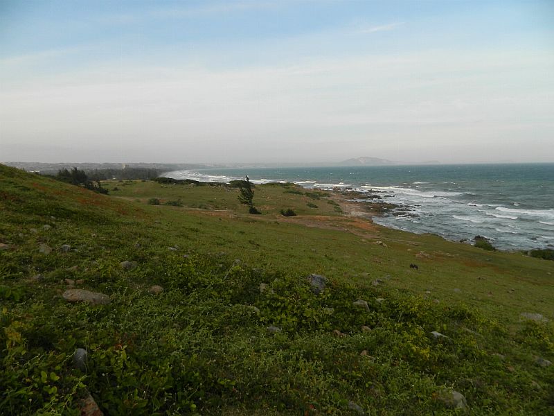 DSCN4540_368.jpg