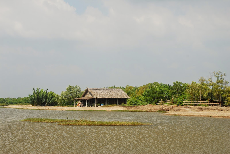 DSC_8831.JPG