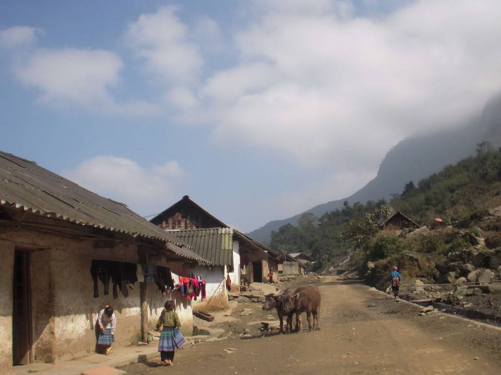 DSCN9780.jpg