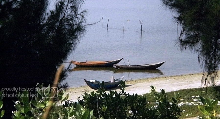 279_zpsd0782085.jpg