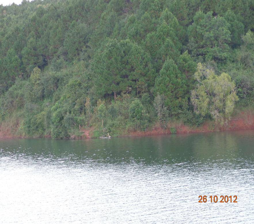 DSC00690R.jpg