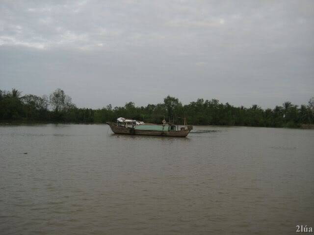 IMG_1058.jpg