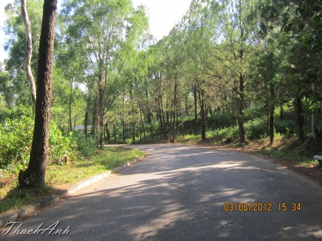 IMG_7995-Copy.jpg