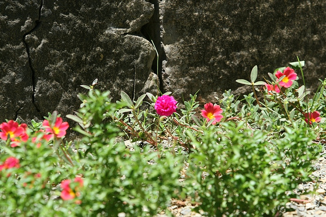 4757472167_06191dbfa2_z.jpg