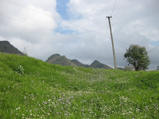 Picture%20275.jpg