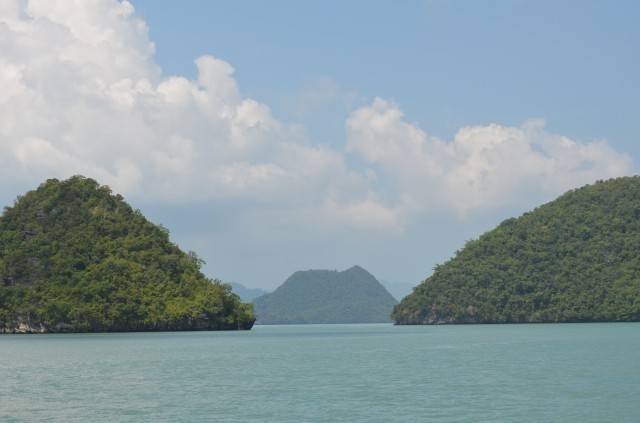 DSC_2516.jpg