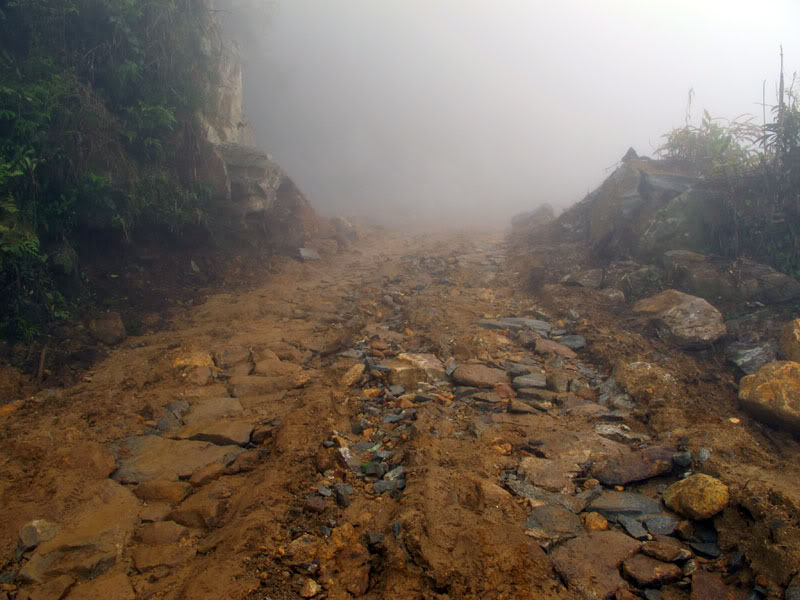 HongNgai2011451.jpg